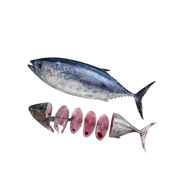 Deshi Tuna (Large size)